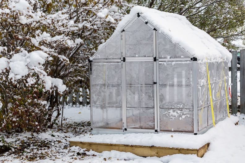 2016/09/gartenarbeit-im-winter Gartenarbeit im Winter – Das gibt es jetzt zu tun!