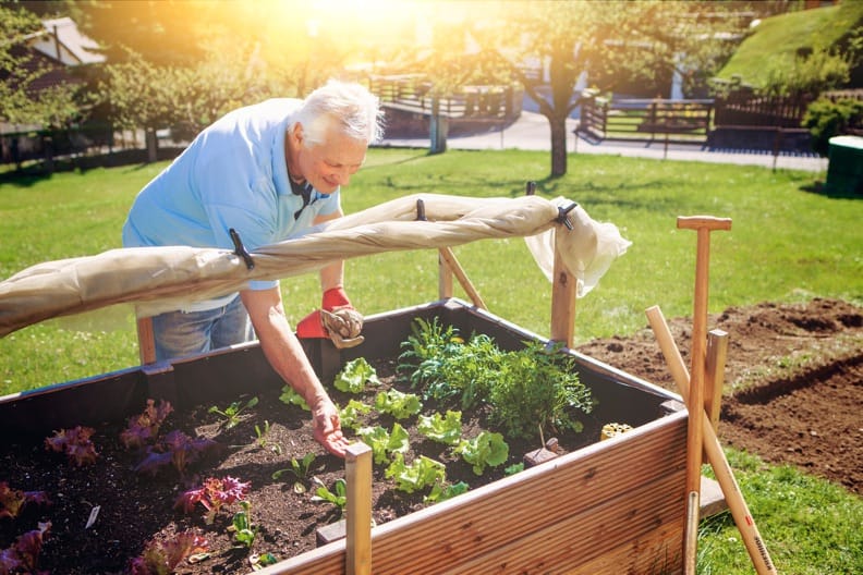 2016/09/hochbeet Hochbeet anlegen – Tipps zum Bauen und Befüllen