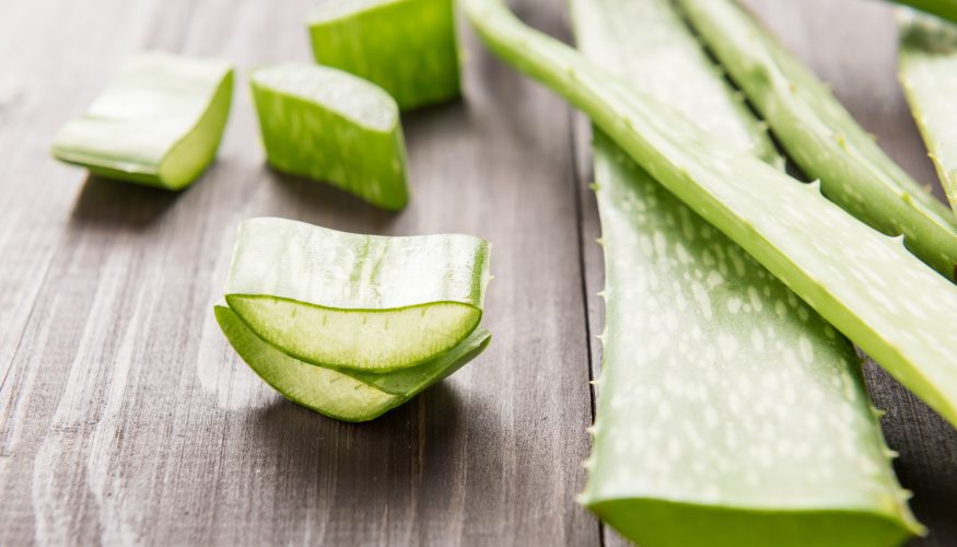 aloe-vera-joghurt Aloe Vera Joghurt selber machen – Unsere Rezeptidee