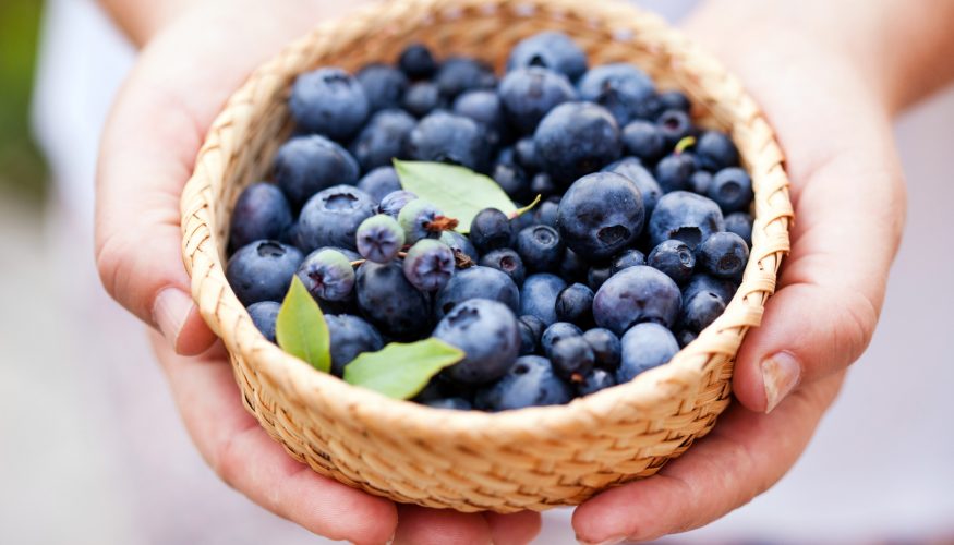 beeren-immer-suess Sind Beeren immer süß?