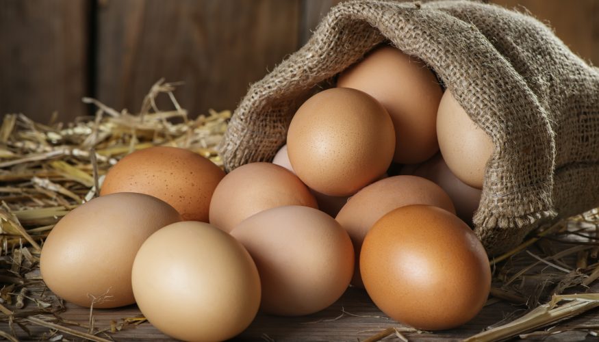eierkorb-coccodandy Eierkörbchen Coccodandy – Eier sicher transportieren