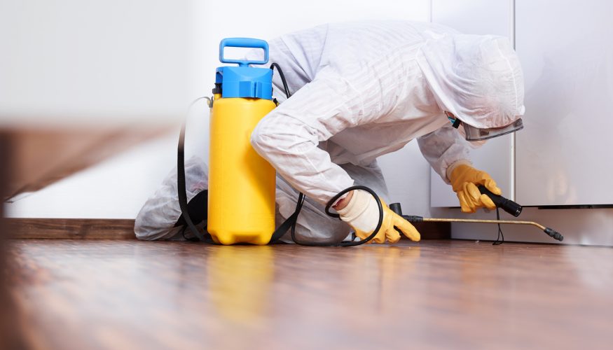 schimmel-in-der-wohnung-1 Schimmel in der Wohnung – Das müssen Sie beachten