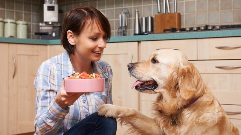 Hundefutter selbst herstellen – So wird’s gemacht