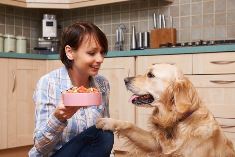 https://www.haushaltstipps.net/wp-content/uploads/2016/09/hundefutter-selber-herstellen Hundefutter selbst herstellen – So wird’s gemacht