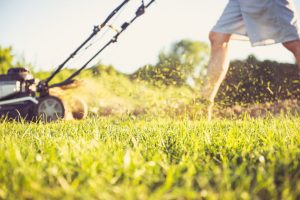 Garten begradigen 3 Tipps zum Nivellieren von Grundstücken