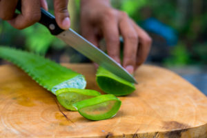 Aloe Vera wird auf Holz zurechtgeschnitten