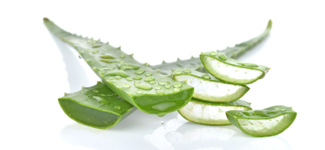 Aloe-Vera-Gel selber machen: Rezept und Anleitung