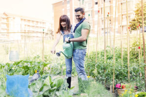 Paar gießt Pflanzen im Garten