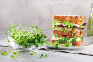 Brunnenkresse auf einem Brot