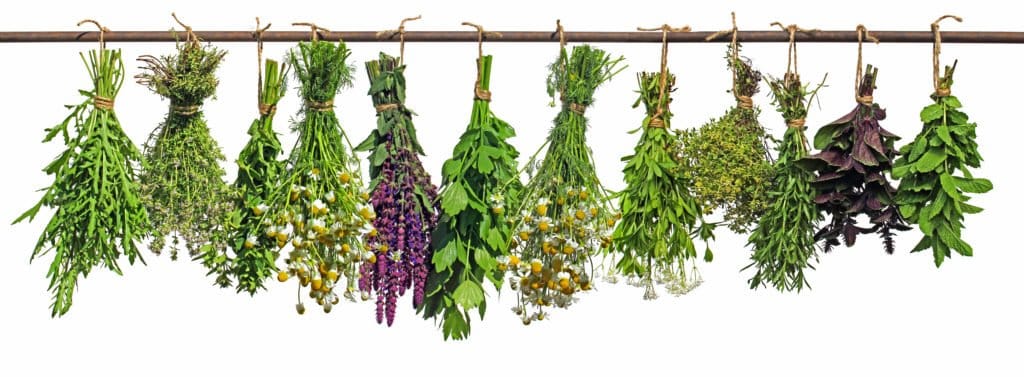 Kräuter trocknen Anleitung um Gartenkräuter richtig zu trocknen
