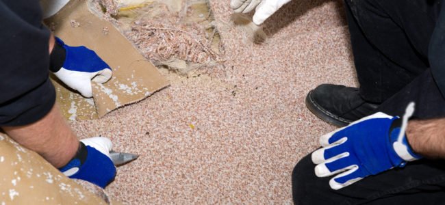 Teppichboden entfernen: Auslegware ohne Klebereste entfernen