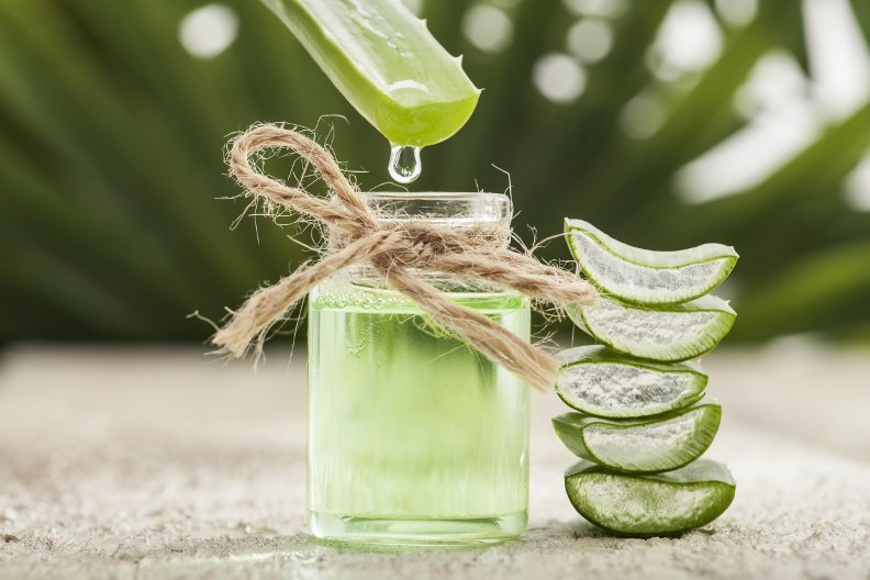 Aloe Vera – Anwendung und Wirkung