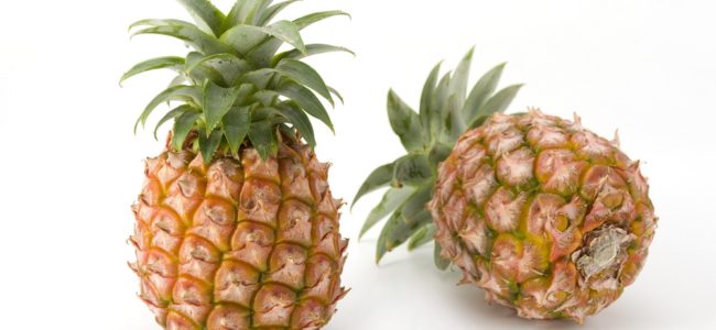 Ananas selber ziehen: Tipps zum Einpflanzen und zur Pflege