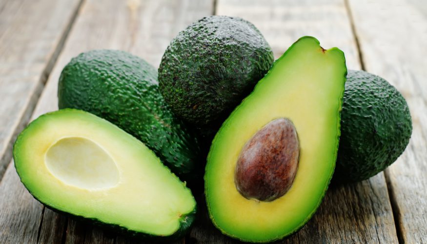 https://www.haushaltstipps.net/wp-content/uploads/avocado-pflanzen Avocado züchten – So gelingt es endlich