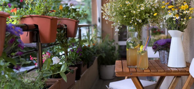 Garten auf dem Balkon: So machen Sie Ihren Balkon zur grünen Oase