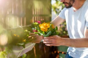 mann setzt blühende blumen in balkonkasten