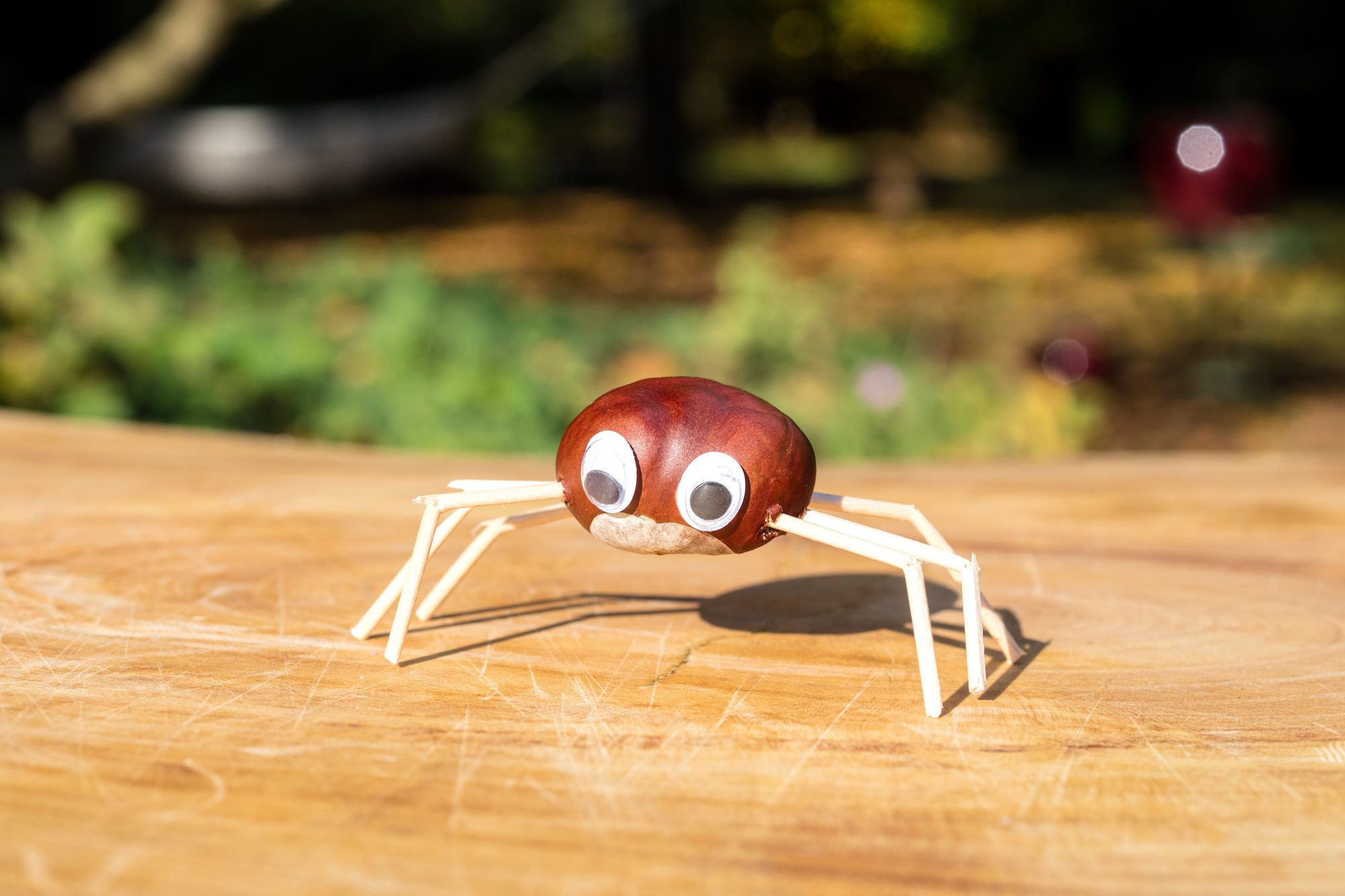 Basteln mit Kastanien: In 6 Schritten zur herbstlichen DIY-Deko