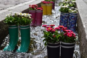 Bepflanzte Gummistiefel in einem Bach