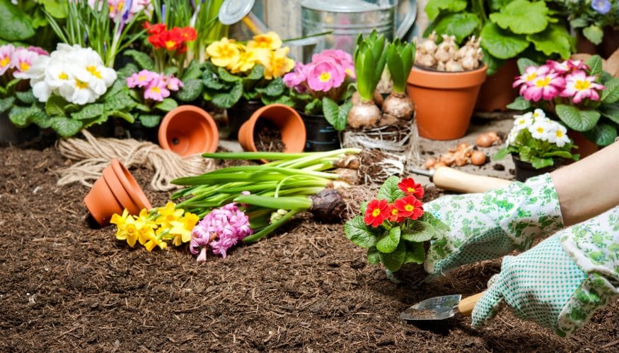https://www.haushaltstipps.net/wp-content/uploads/blumenflecken-entfernen Blumenflecken entfernen – 8 Tipps & Tricks