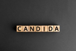 das wort candida 