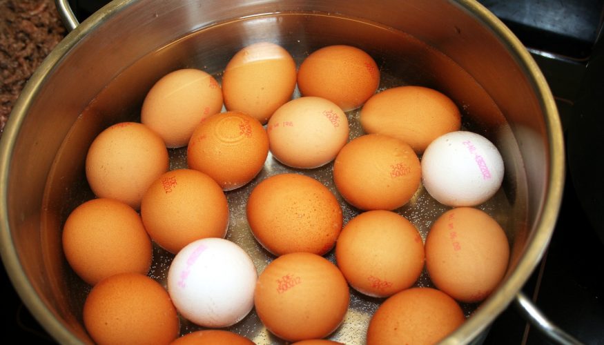 https://www.haushaltstipps.net/wp-content/uploads/eier-essigwasser-kochen Eier in Essigwasser kochen – Platzen sie so nicht?
