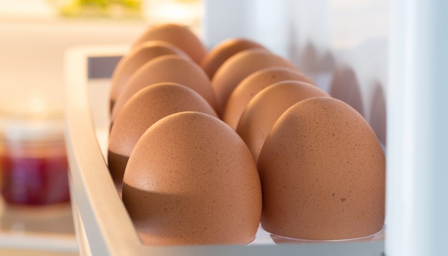 https://www.haushaltstipps.net/wp-content/uploads/eier-lagern Eier lagern – 7 Haushaltstipps
