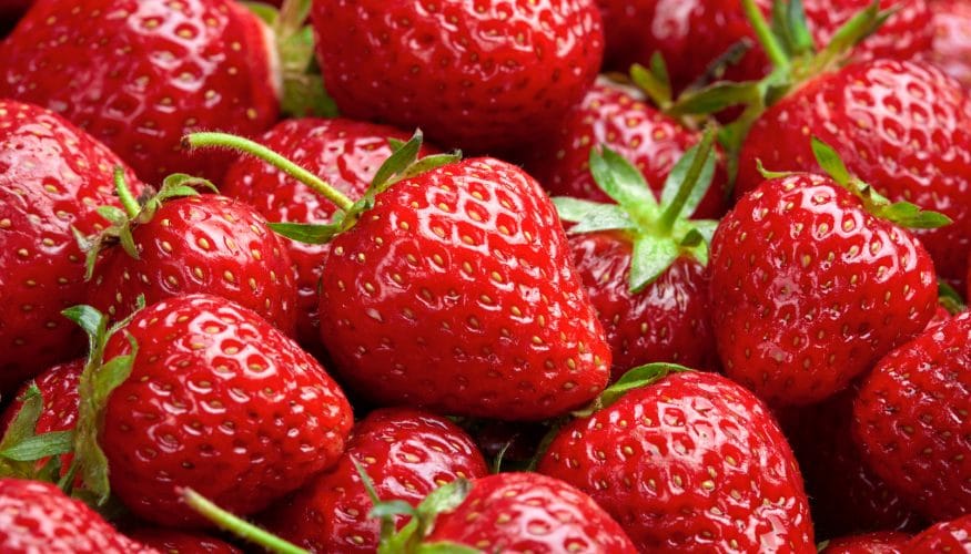 https://www.haushaltstipps.net/wp-content/uploads/erdbeere-nuss Sind Erdbeeren Nüsse?