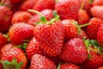 erdbeeren