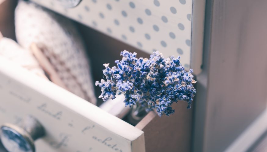https://www.haushaltstipps.net/wp-content/uploads/frischer-duft-im-schrank Frischer Duft im Schrank – 3 tolle Tipps