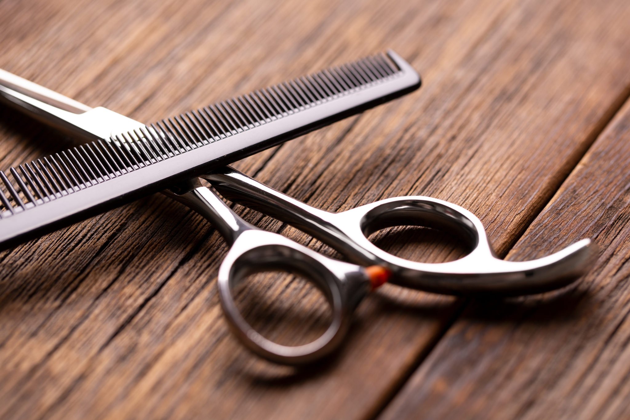 Friseurschere Test » Die besten Modelle für 2024 im Vergleich