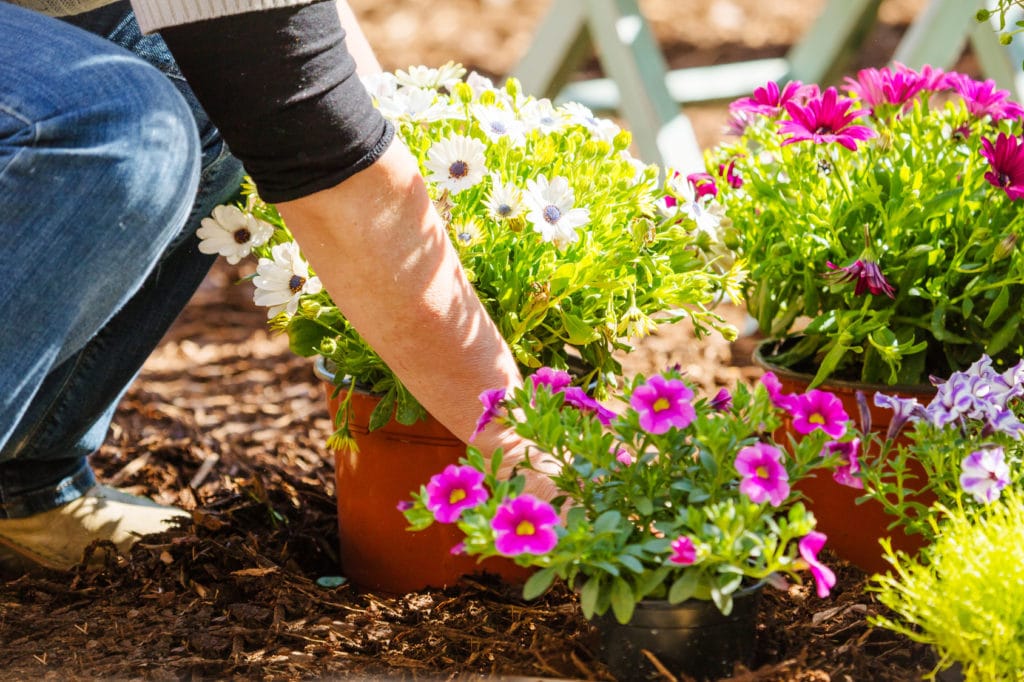 Garten begradigen 3 Tipps zum Nivellieren von Grundstücken