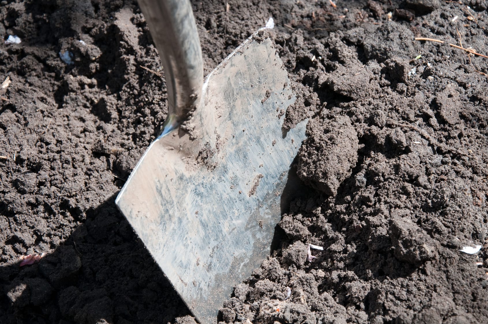 Muss man Gartenbeete jedes Jahr umgraben?