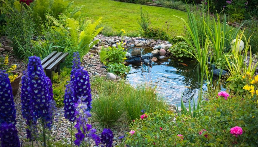 https://www.haushaltstipps.net/wp-content/uploads/gartenteich-biotop Ist ein Gartenteich ein Biotop?