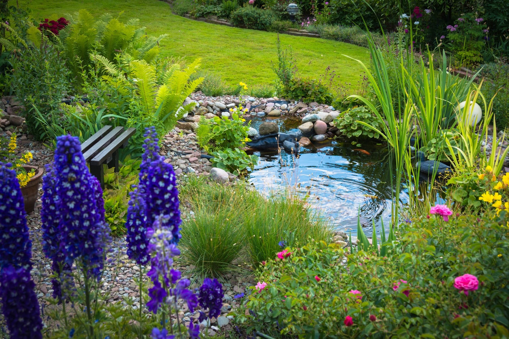 Ist ein Gartenteich ein Biotop?