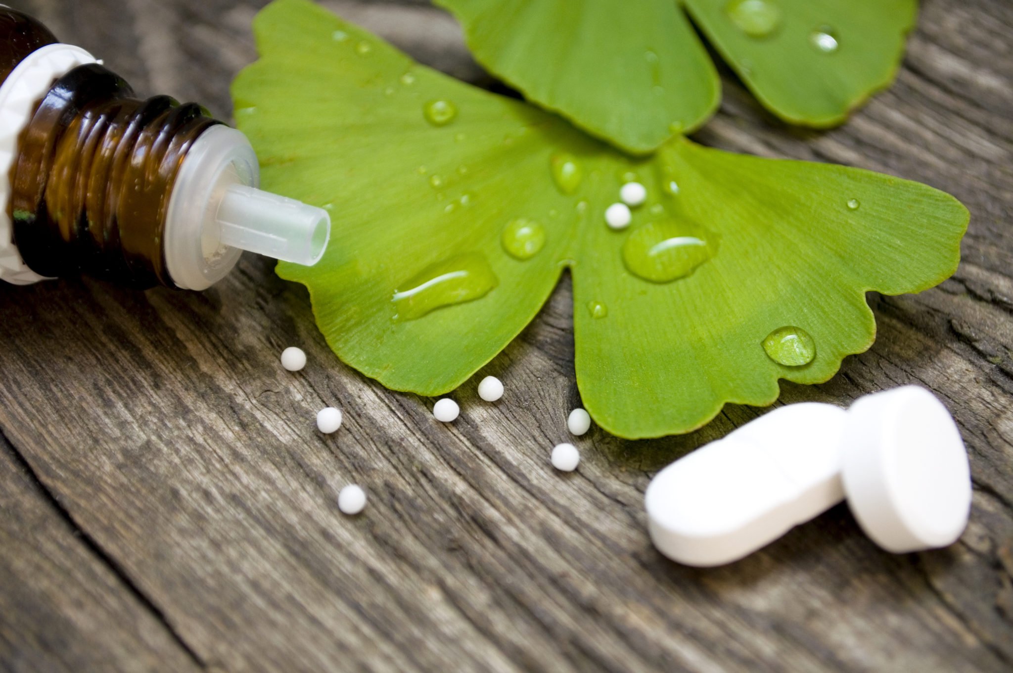 GinkgoTabletten Test » Die besten Modelle für 2024 im Vergleich