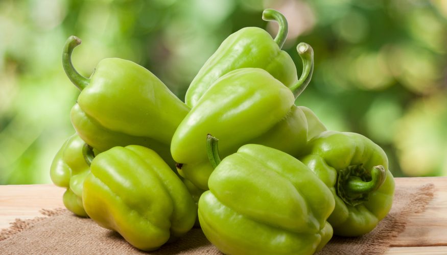 https://www.haushaltstipps.net/wp-content/uploads/gruene-paprika Sind grüne Paprika unreif?