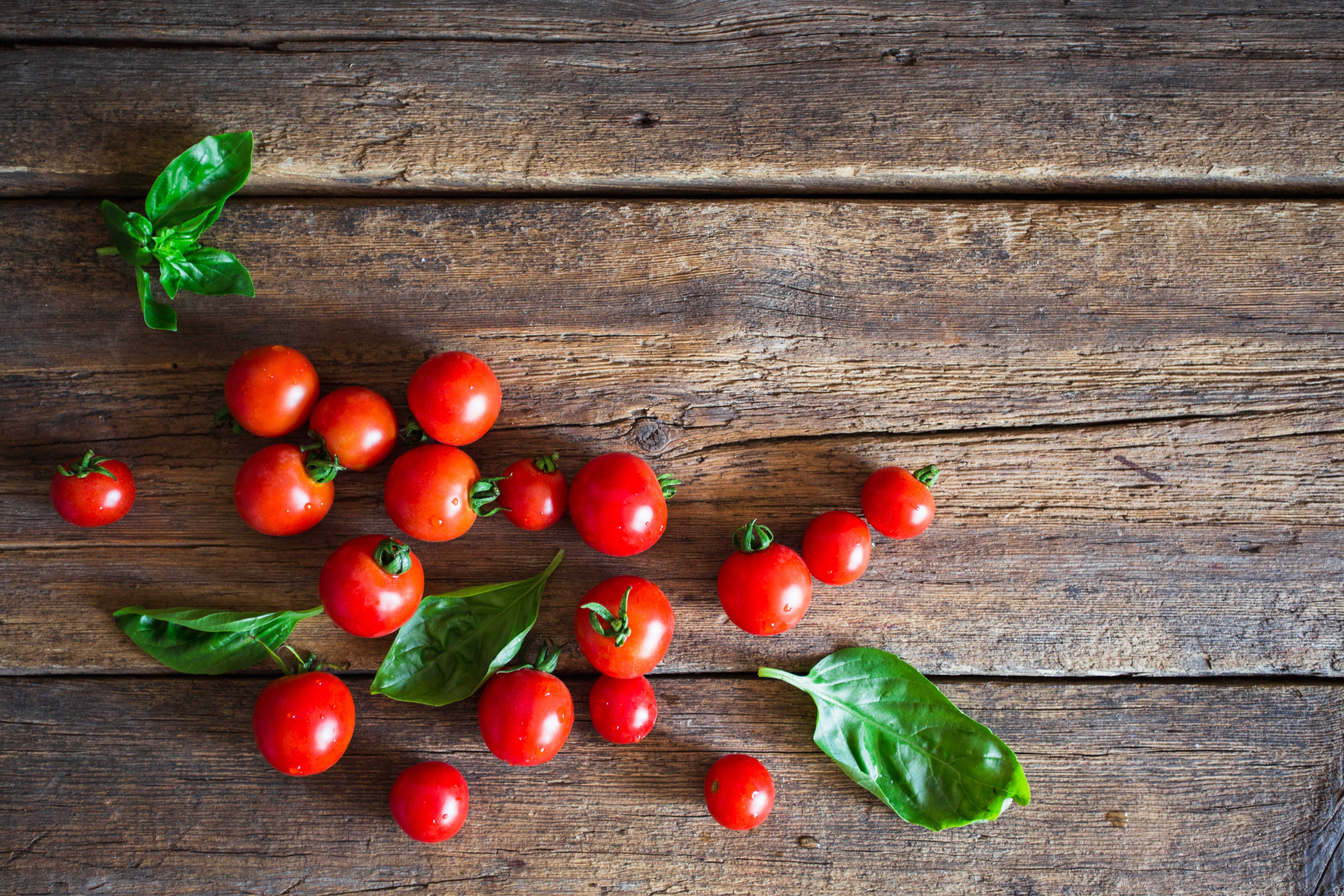 Hausmittel Tomate – So vielfältig einsetzbar sind Tomaten