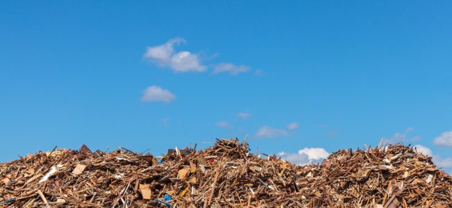 Holz entsorgen: Holzabfälle und Altholz fachgerecht entsorgen