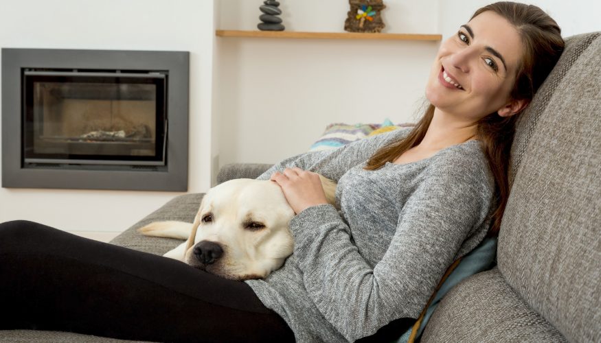 https://www.haushaltstipps.net/wp-content/uploads/hundealter Entspricht ein Hundejahr sieben Menschenjahren?