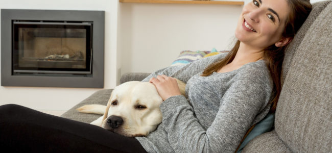 Entspricht ein Hundejahr sieben Menschenjahren?