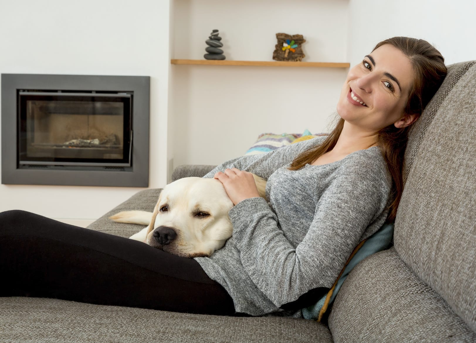 https://www.haushaltstipps.net/wp-content/uploads/hundealter Entspricht ein Hundejahr sieben Menschenjahren?