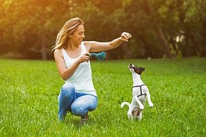 Frau spielt mit Hund.