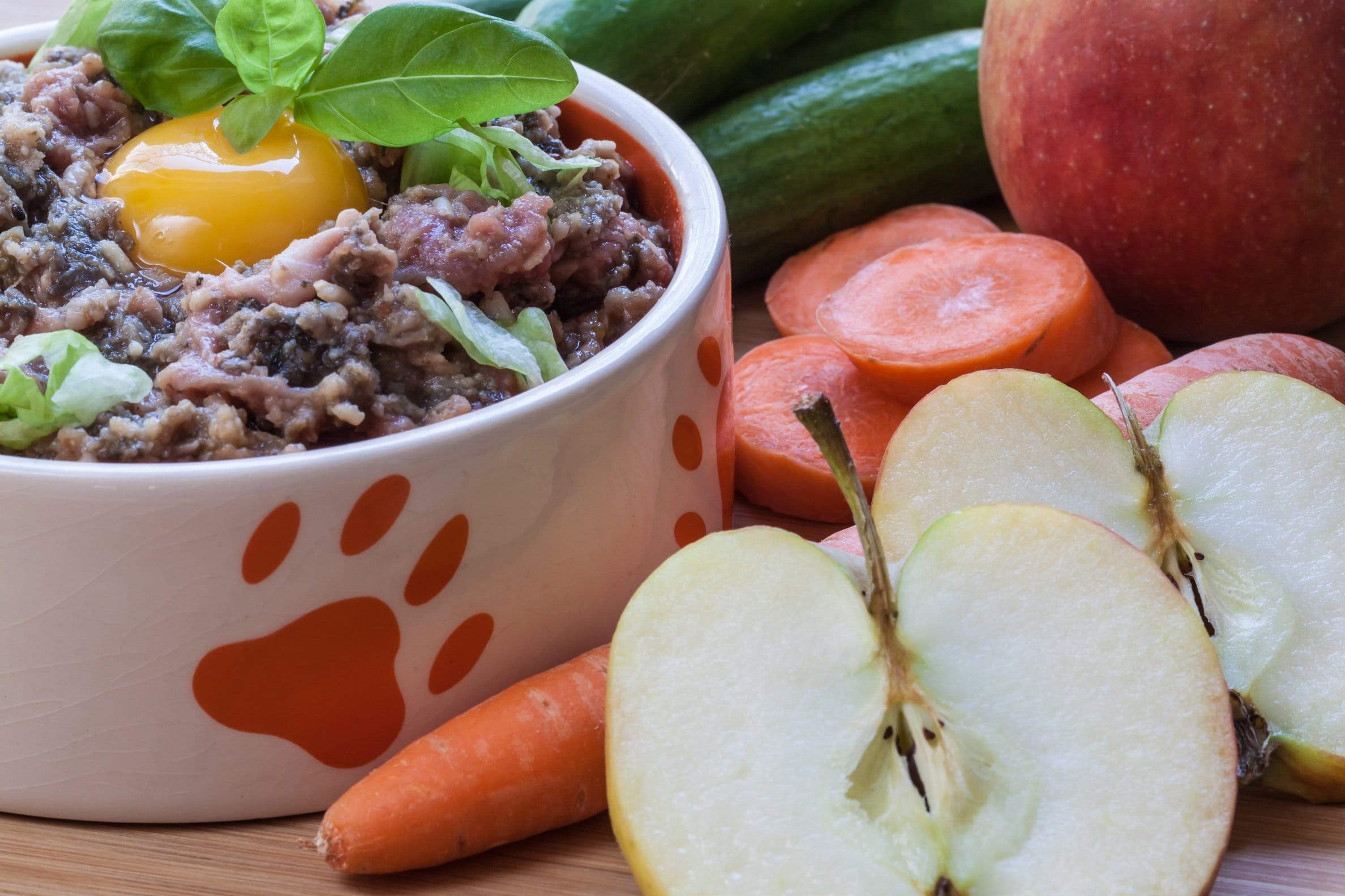Barfen für den Hund So funktioniert die Ernährung mit Frischfleisch