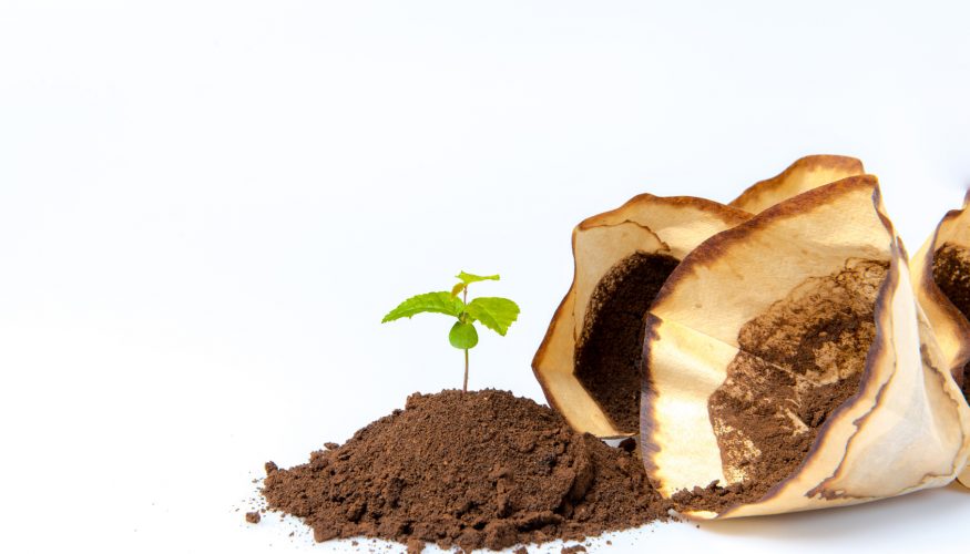 https://www.haushaltstipps.net/wp-content/uploads/kaffee-als-duenger-fuer-blumenerde Kaffee als Dünger für Blumenerde verwenden