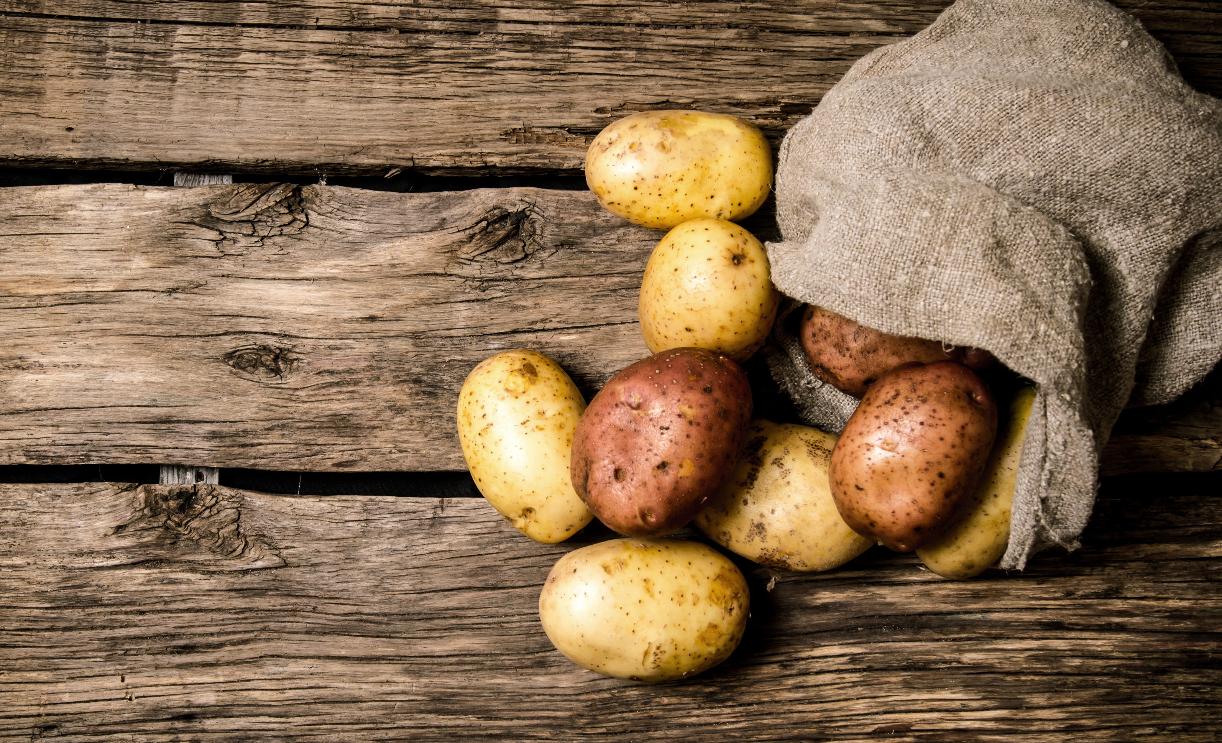 Kartoffeln lagern – 6 Tipps