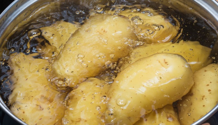 https://www.haushaltstipps.net/wp-content/uploads/kartoffelsud-haelt-pflanzen-fit Kartoffelsud hält Pflanzen fit