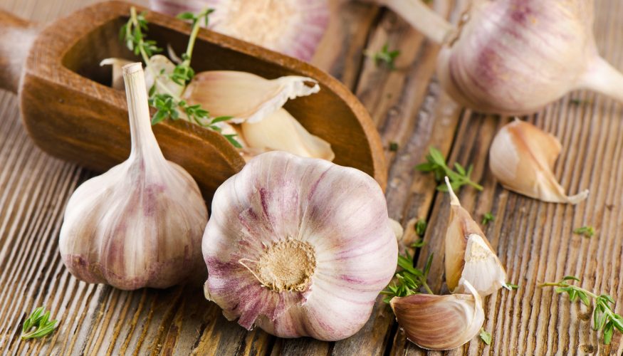 https://www.haushaltstipps.net/wp-content/uploads/knoblauch-lagern Knoblauch richtig lagern – 7 Tipps