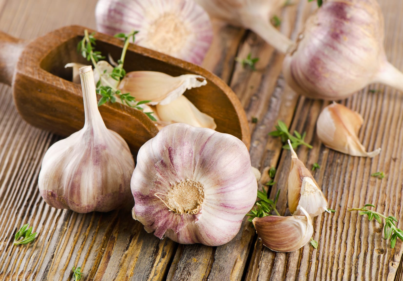 Knoblauch richtig lagern – 7 Tipps