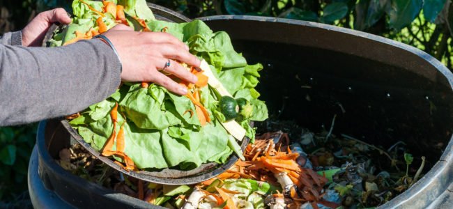 Kompost anlegen: So produzieren Sie eigenen Biodünger