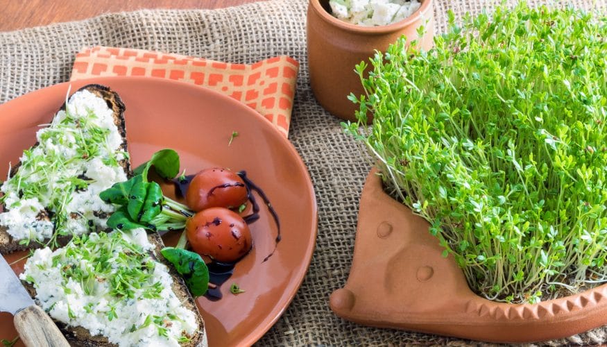 https://www.haushaltstipps.net/wp-content/uploads/kressebrot Kressebrot – 4 Rezepte vorgestellt